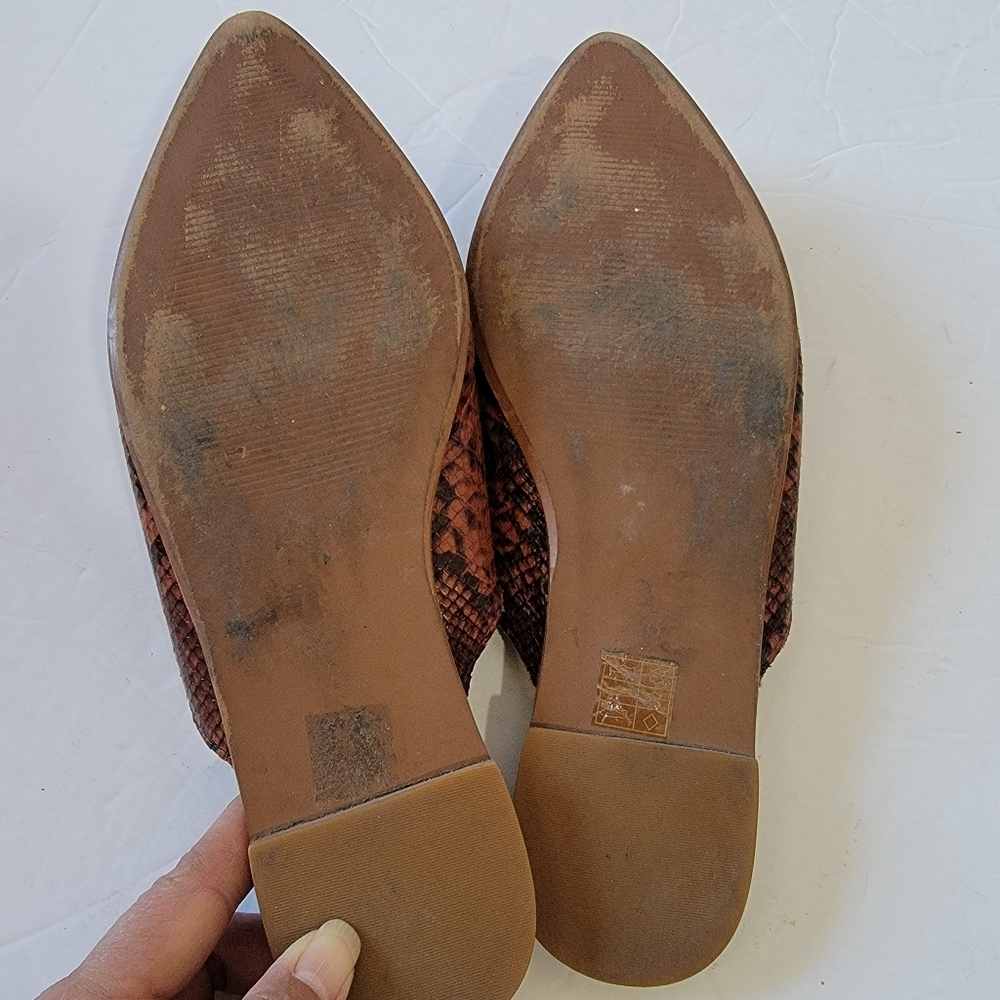 Madewell The Emilia Mule in Snake Embossed Leather Women's Sz 8 Pointy Toed - Picture 9 of 11